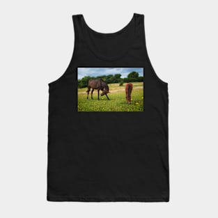 Horse Heaven Tank Top